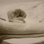 Zo-mar فلورا